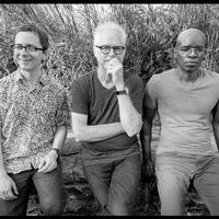 Bill Frisell Trio